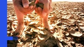Preview image for the video "Positive Agriculture Learning Video".,Opens in Pop Up