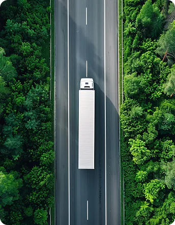 AdobeStock_913515546 1.png